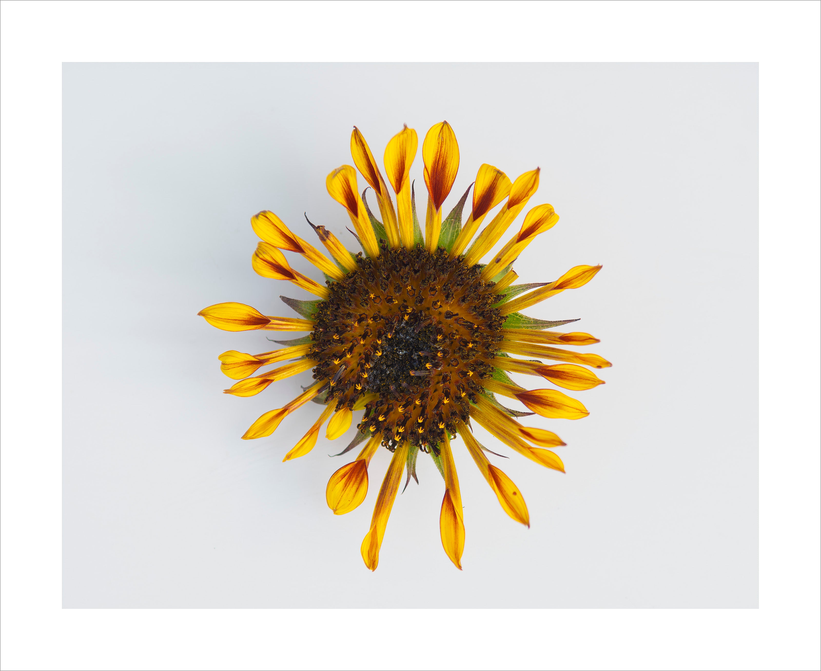 Dare To Be Different