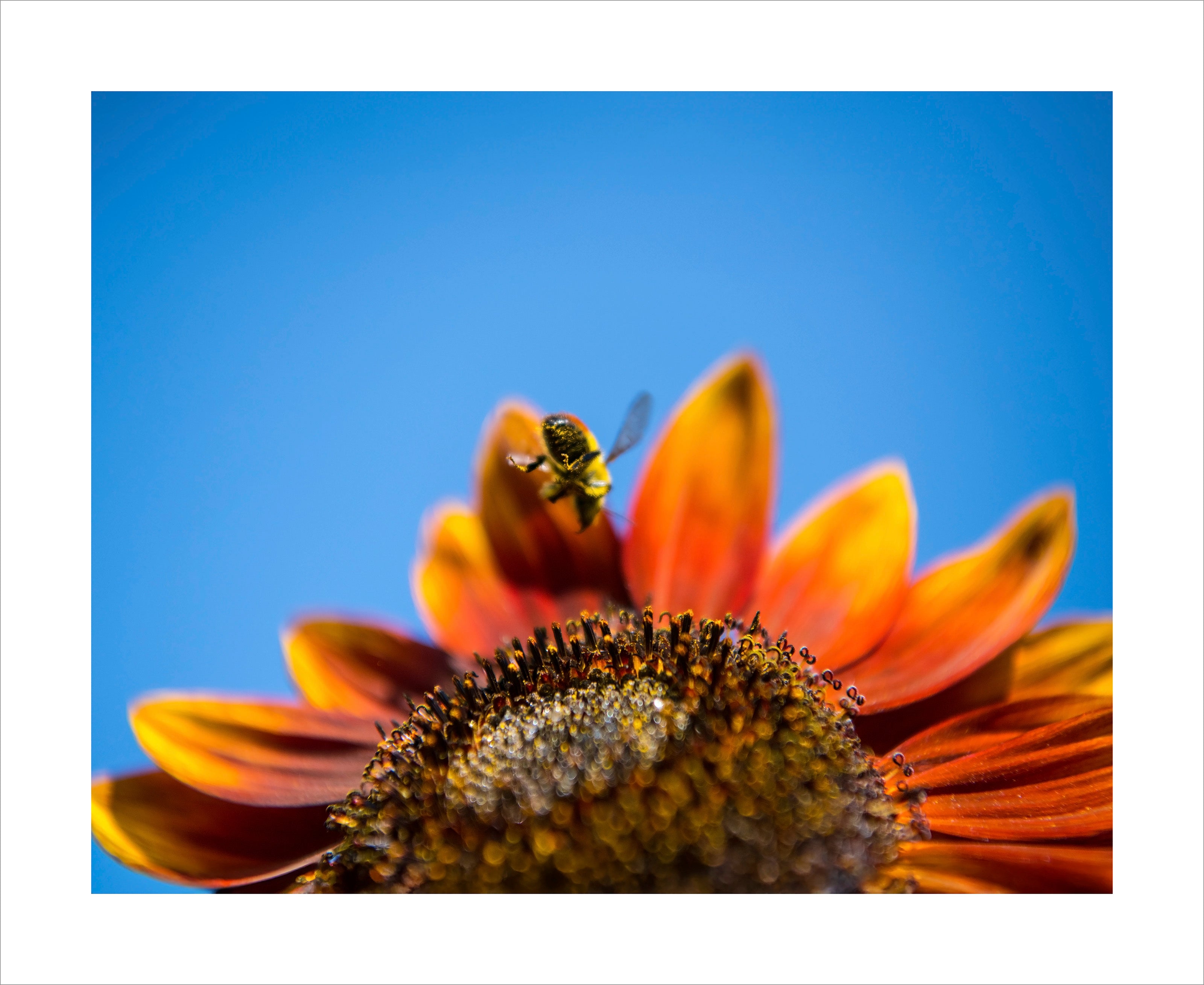 Can't Wait To Dive In