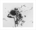 Scattered Thoughts