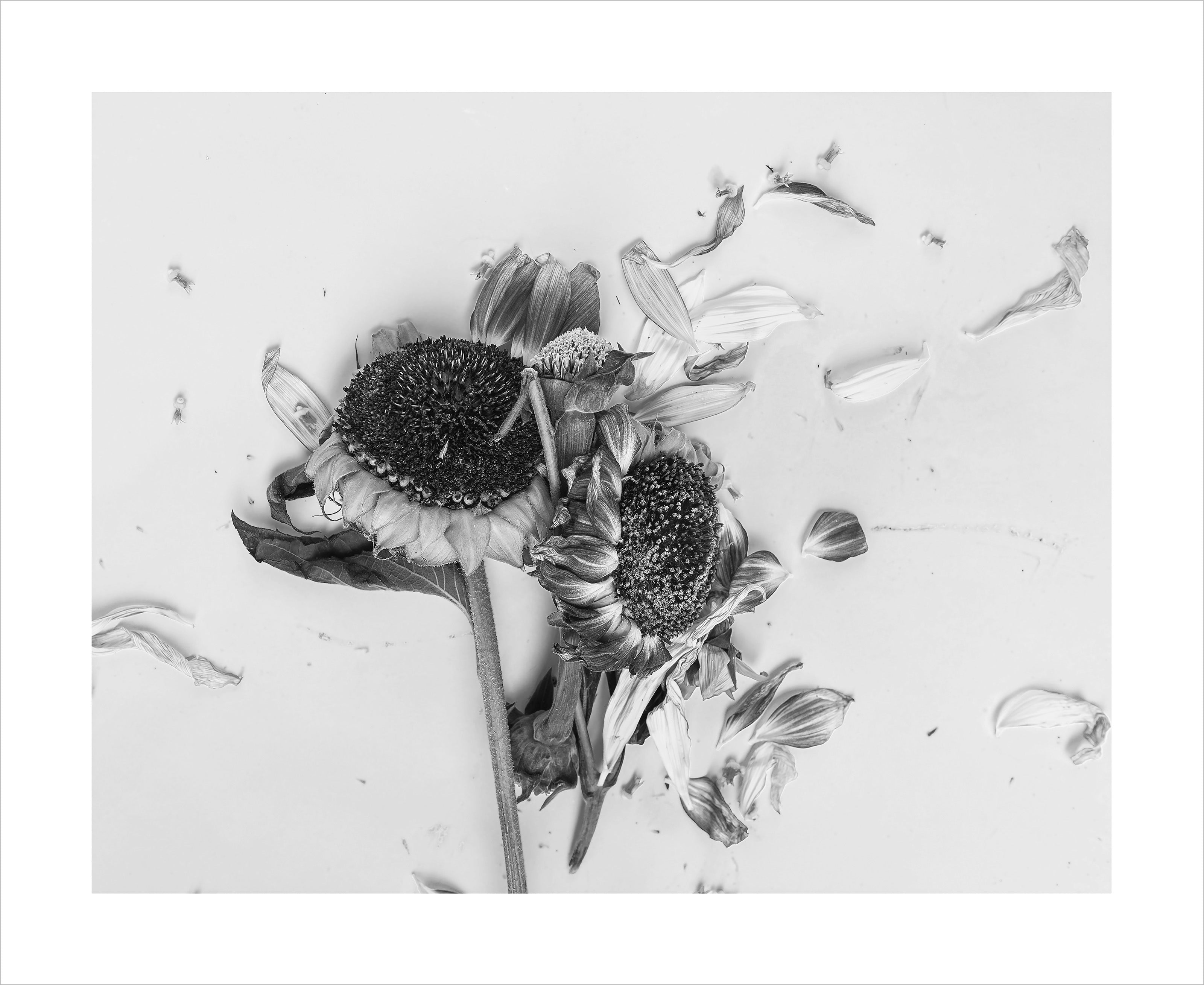 Scattered Thoughts
