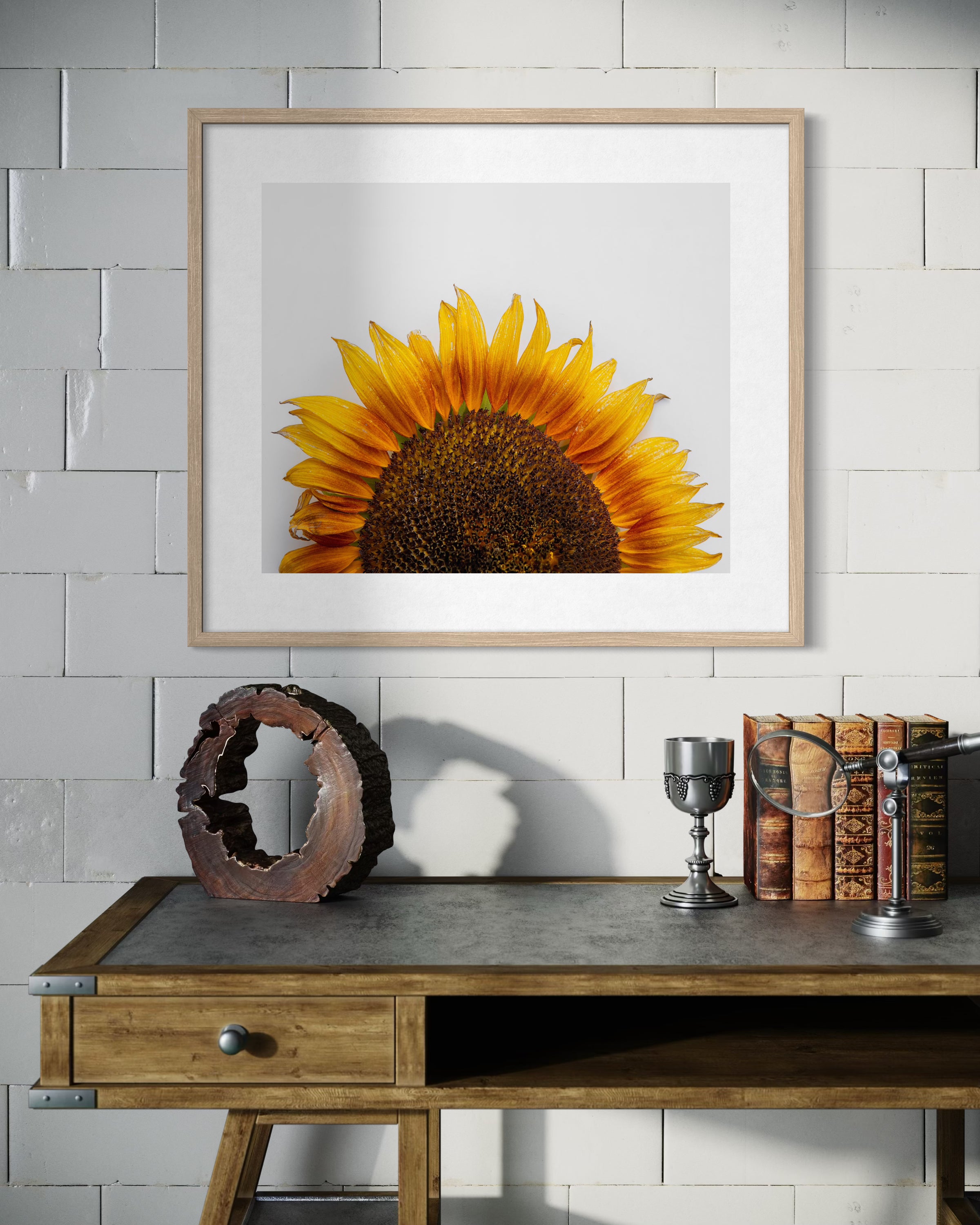 Morning Light