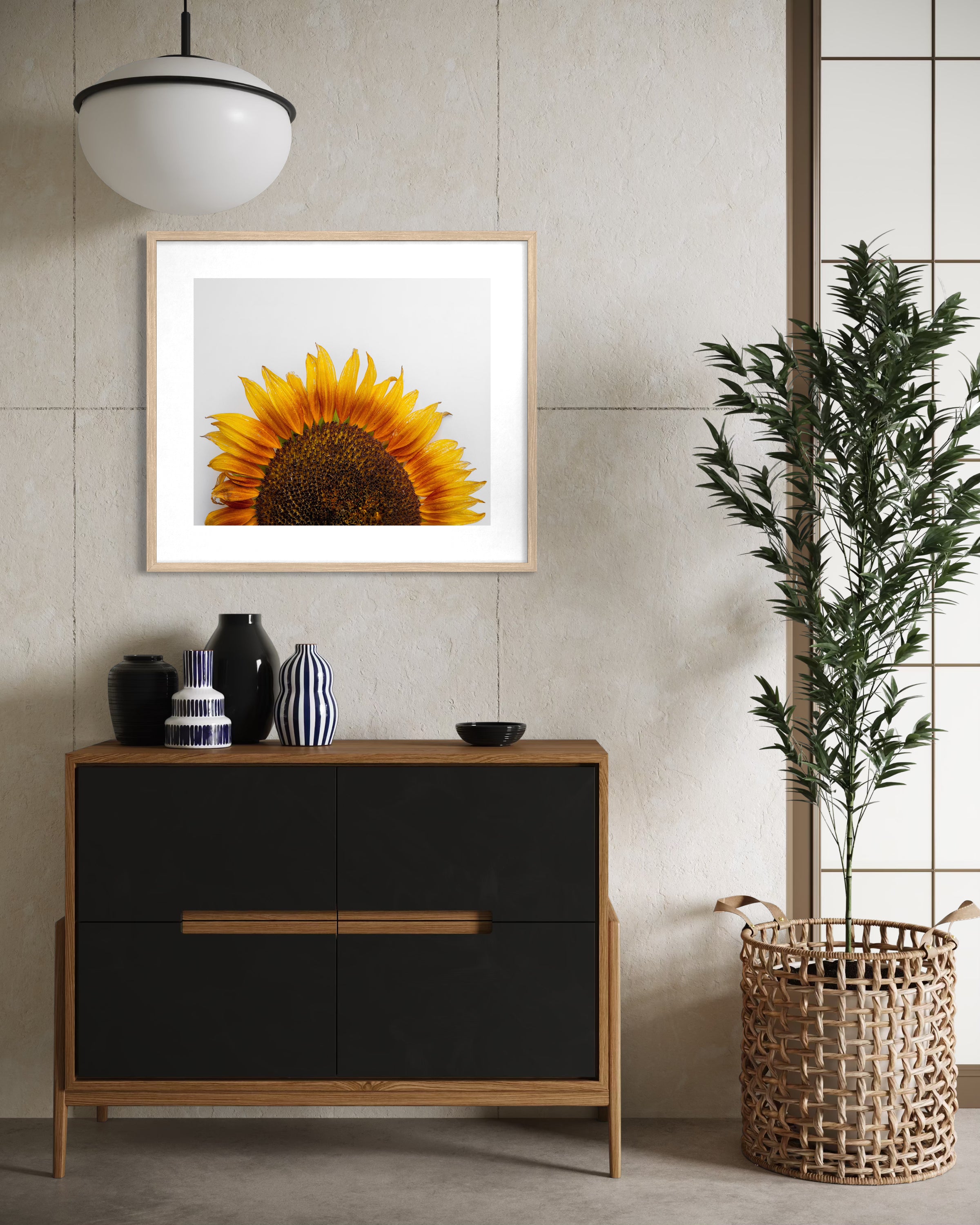 Morning Light