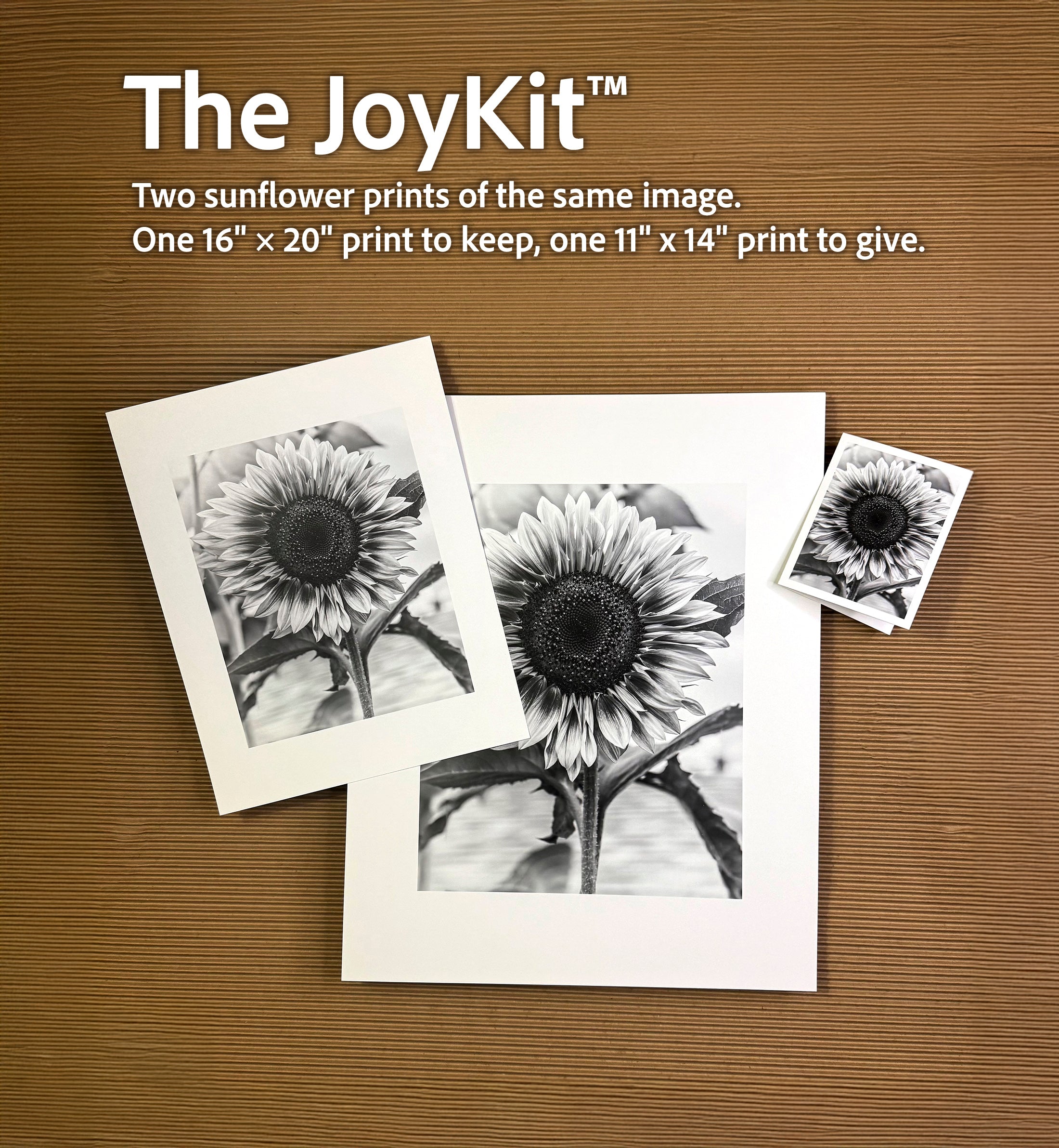 Ode To Joy