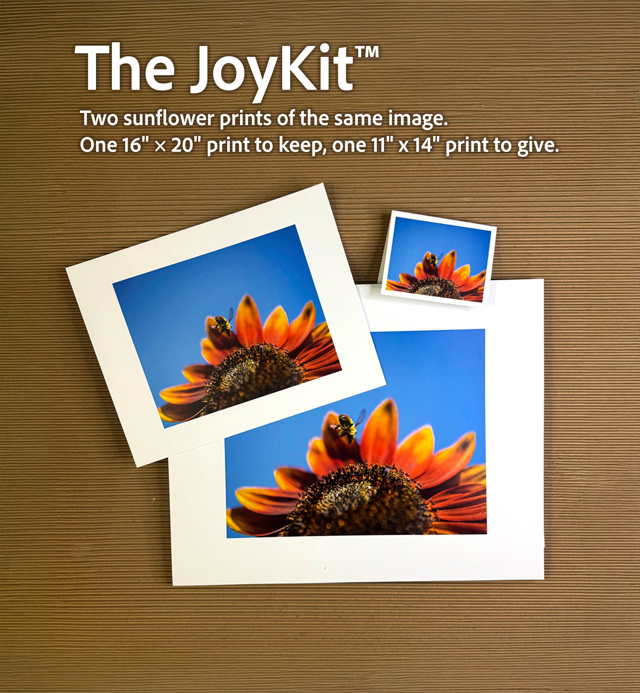 Can't Wait To Dive In