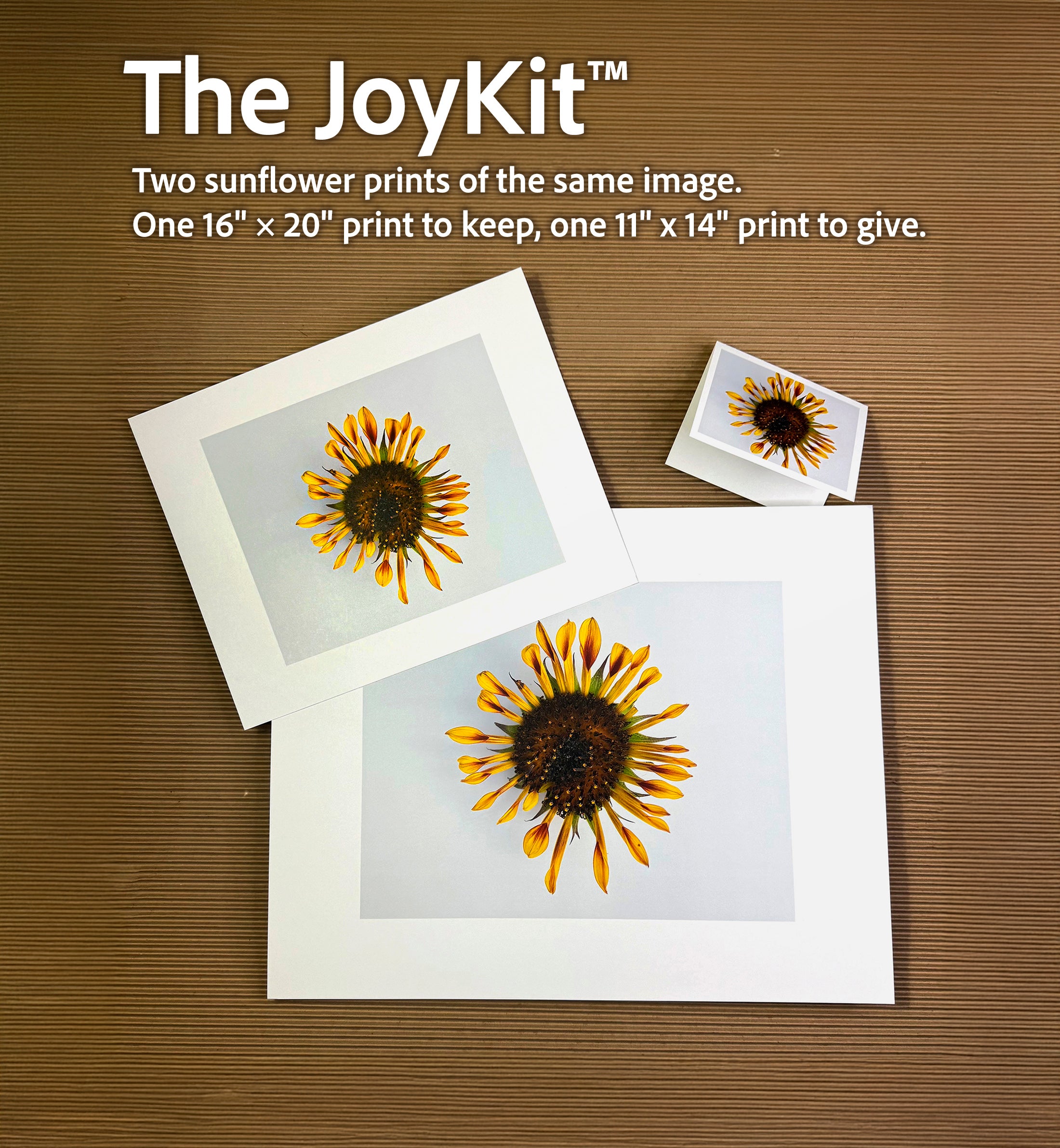 Dare To Be Different