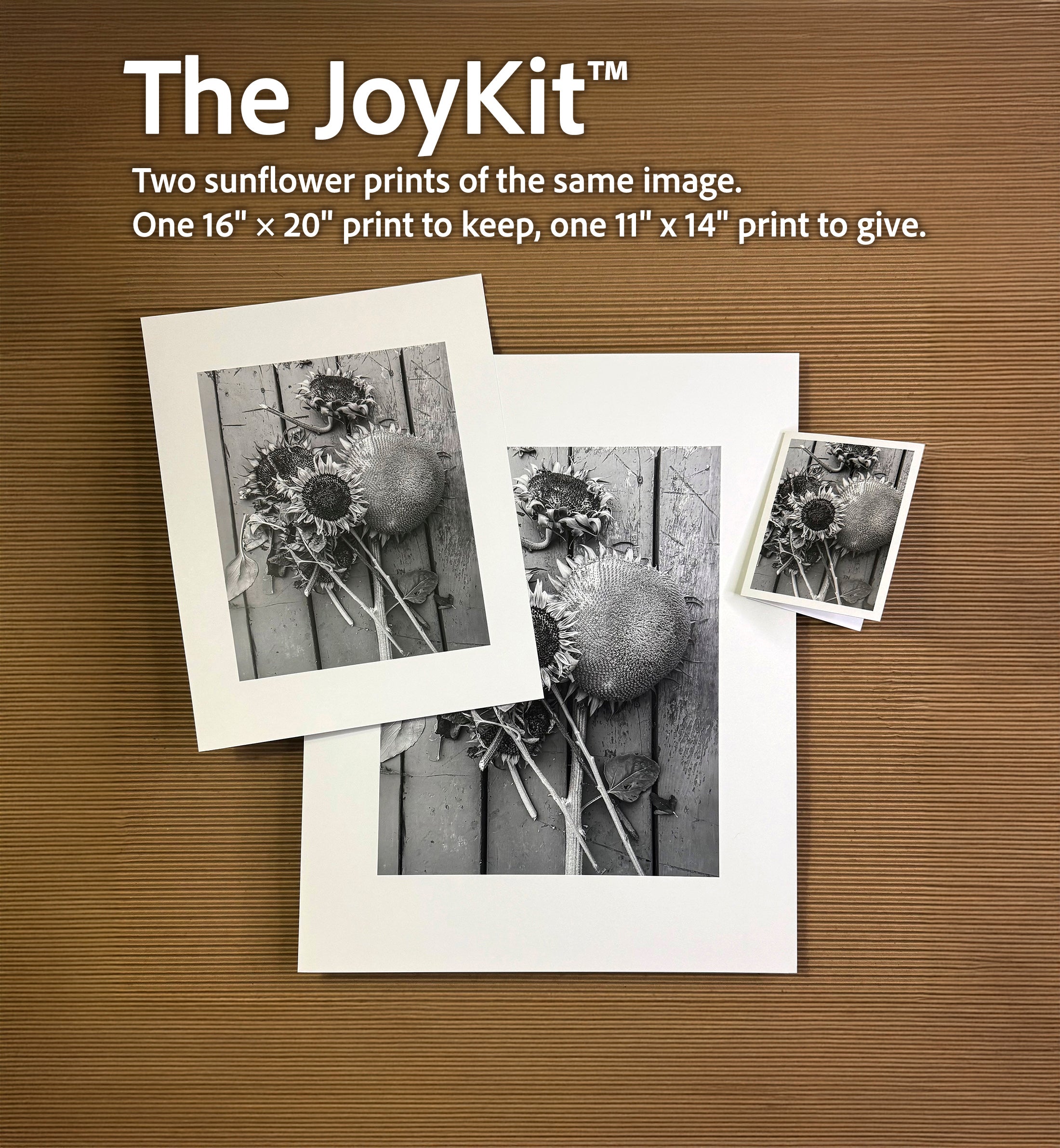 Gathering My Thoughts